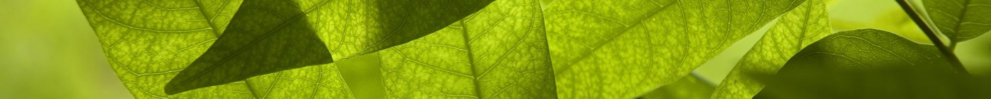 記憶に残したい風景