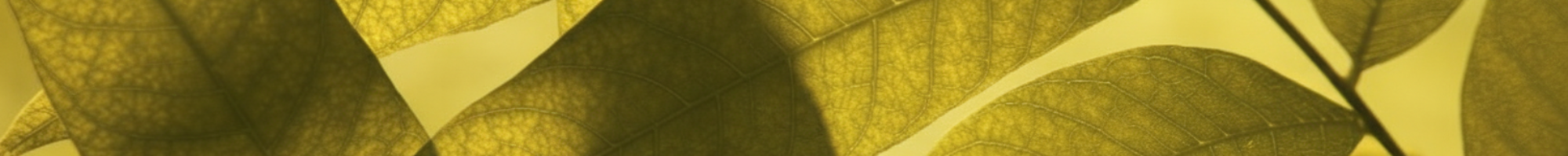 記憶に残したい風景